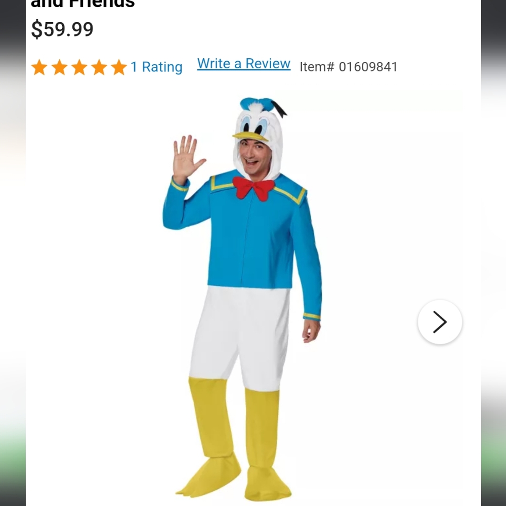 Donald the Duck costume